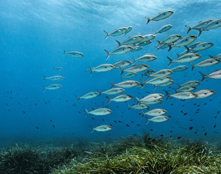 Los productos Photoderm respetan el océano